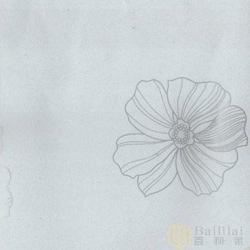 珠光蝶與花